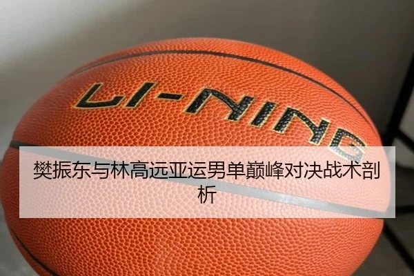樊振东与林高远亚运男单巅峰对决战术剖析